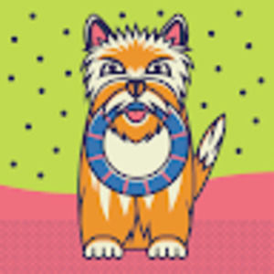 Meet your Posher, Annie